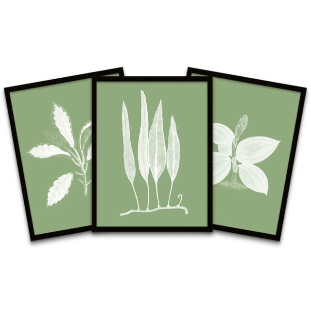 Botanics White Green Leaves Ferns Nature Framed Pack Of 3 Wall art Print Home Decor