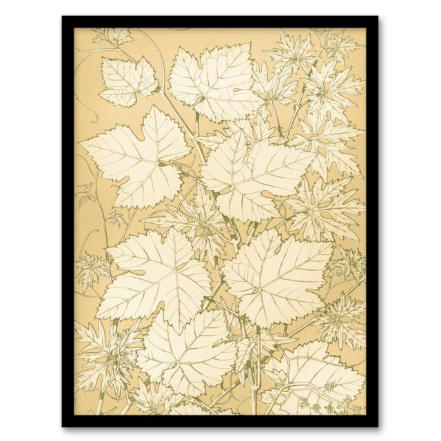 Owen Jones Framed Wall Art Leaves From Nature No 2 Vintage Botanical Home Décor