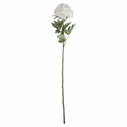 Classic Peony Artificial Plant - Fabric/Plastic - L13 x W13 x H69 cm - White