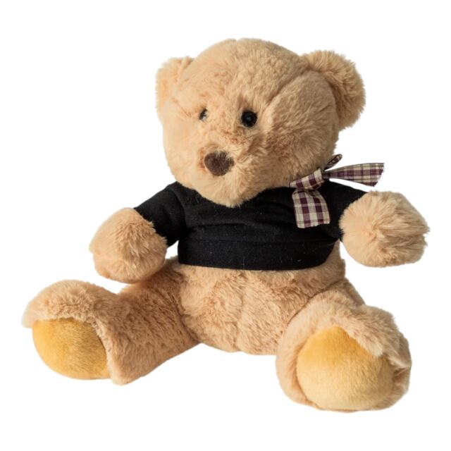 Blue Canyon Teddy Weighted Door Stop Cute Sand Filled Animal Doorstop Soft Fabric Decorative Floor Door Stopper