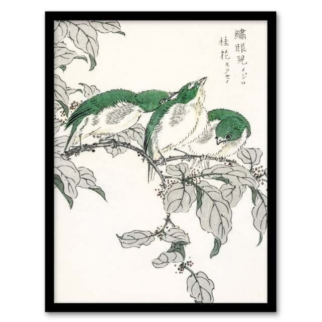 "White Eye and Osmanthus Japanese Japanese Framed Wall Art Print Kashu 12x16"""