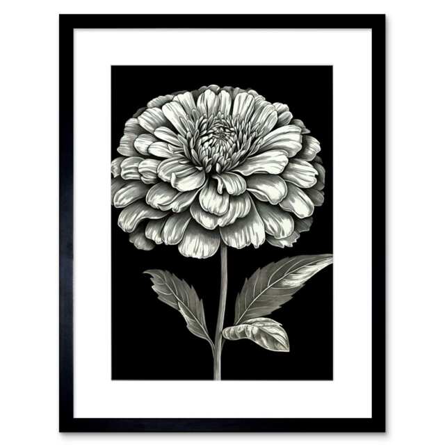 "Black White Zinnia Flower Bloom Floral 9x7"" Black Framed Wall Art Print"