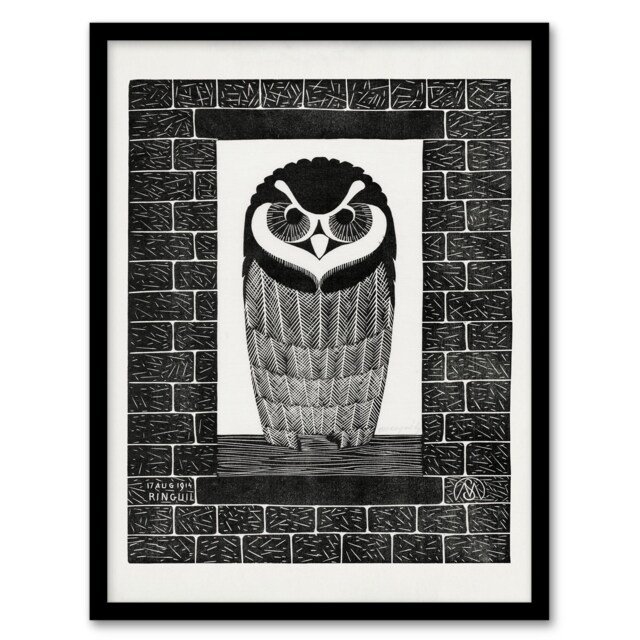 Samuel J De Mesquita Framed Wall Art Ringuil Owl Bird on a Window Home Décor
