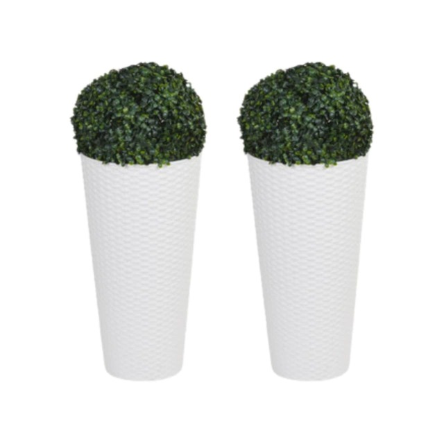 Round Pots with Boxwood Ball Plant - 28x25x25cm White White & Set of 2 2