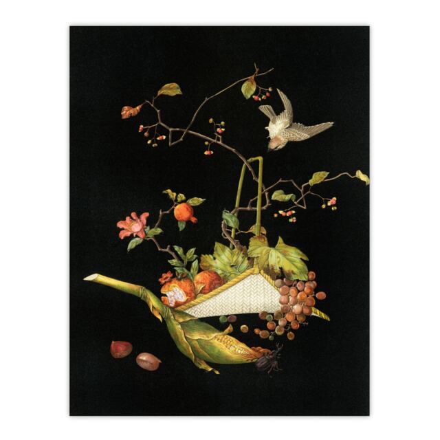 "Stylised Still Life with Bird Audsley Vintage Huge Wall Art Poster Print 24X32"""