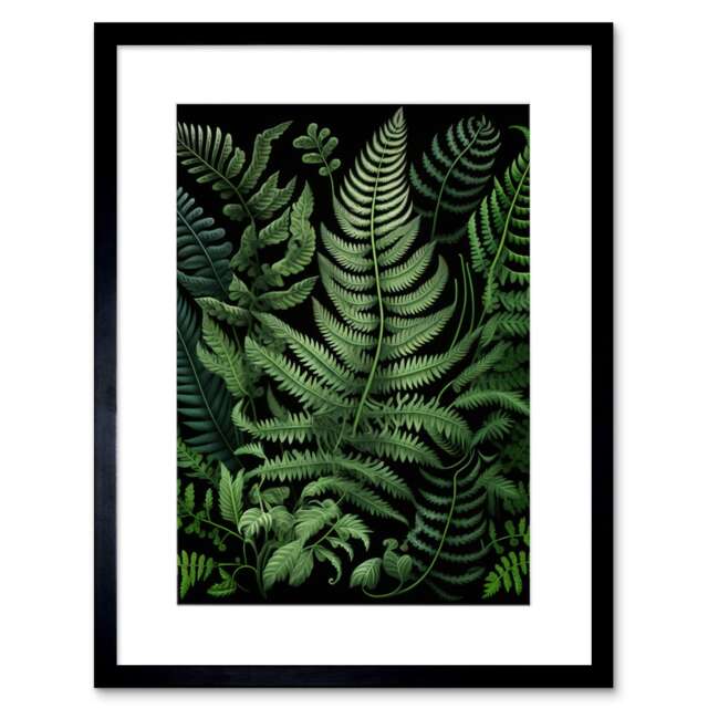 "Fern Fronds Ernst Haeckel Style Botanical Plant Lover 9x7"" Black Framed Wall Art Print"