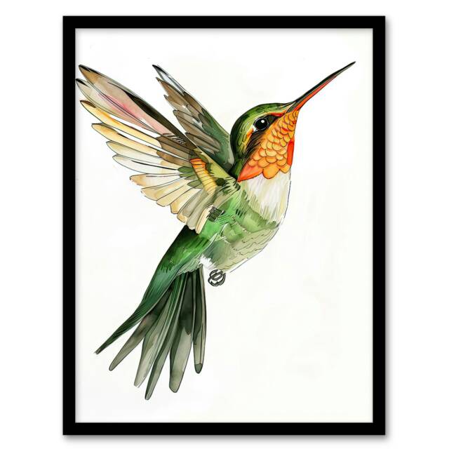 Hummingbird in Flight Green Orange Watercolour Black Framed Wall Art Print A4