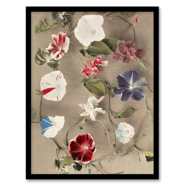 "Group Of Morning Glories Vintage Japan Framed Wall Art Print Kazumasa 12x16"""
