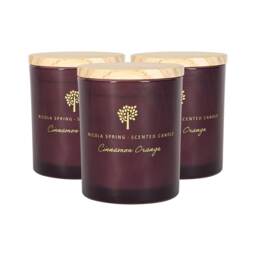 Nicola Spring 3x Cinnamon & Orange Scented Candles 130g 21h Natural Single Wick Soy Wax Aromatherapy Candle Home Fragrance