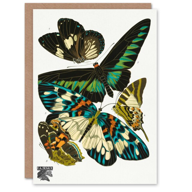 Eugene Seguy Art Card Vintage Butterflies Green Blue