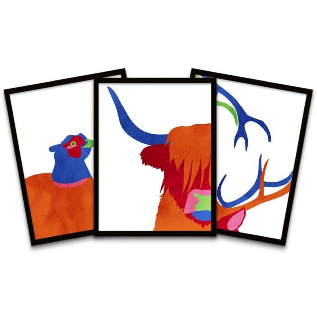 Bright Colourful Scottish Highland Wildlife Framed Pack Of 3 Wall art Print Home Decor