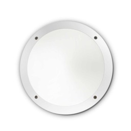 Lucia LED 1 Light Diffuser Outdoor Flush Ceiling / Wall Light White IP66, E27