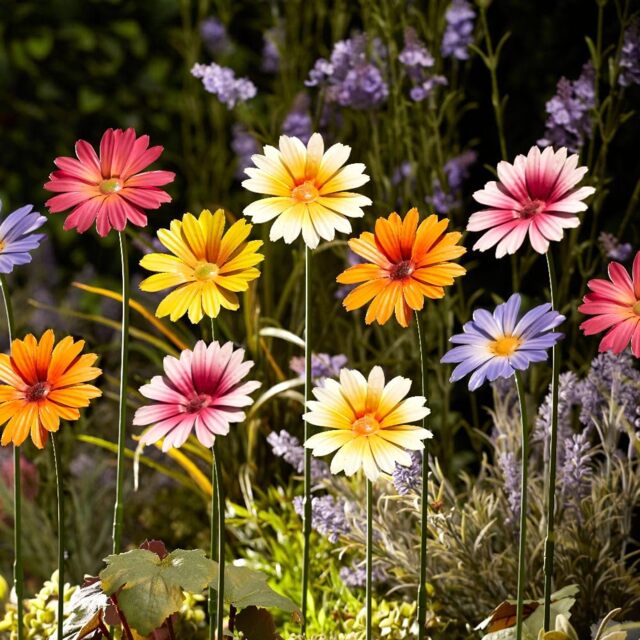 Garden Gear Metal Daisy Flower Bed Border Pathway Stakes Decorations - 6 Pack (Yellow/Orange/White) - Thompson & Morgan