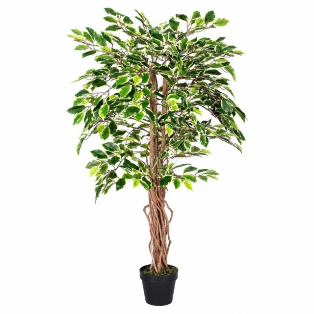 Homescapes Variegated Green Artificial Ficus Tree with Real Wood Trunk, 4 Ft