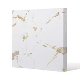 Gold Marble (Canvas Print) / 46 x 46 x 4cm Multi