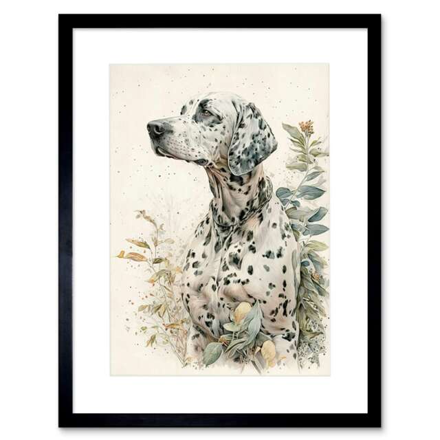 "Dalmatian Dog Field Soft Watercolour Pencil Portrait 9x7"" Black Framed Wall Art Print"