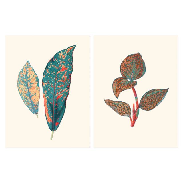 Set of 2 Vintage Botanical Fauna Coral Pink Teal Blue Plant Leaves Wall Art Prints 12x16 Inch