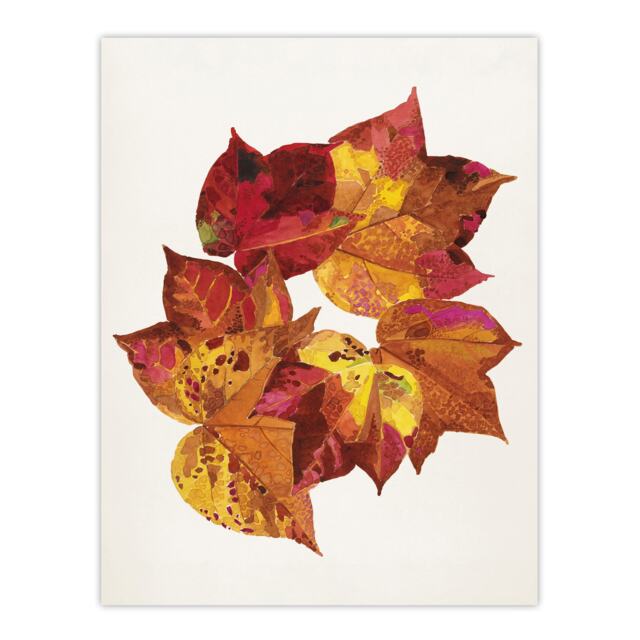 "Autumn Leaves Leaf Patterns Reijer Stolk Wall Art Poster Print 12X16"""