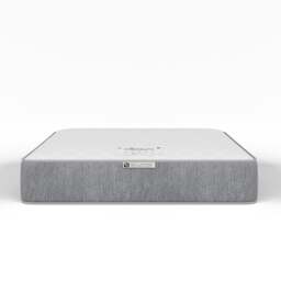 Ortho Support Medium Feel Spring Essentials Mattress