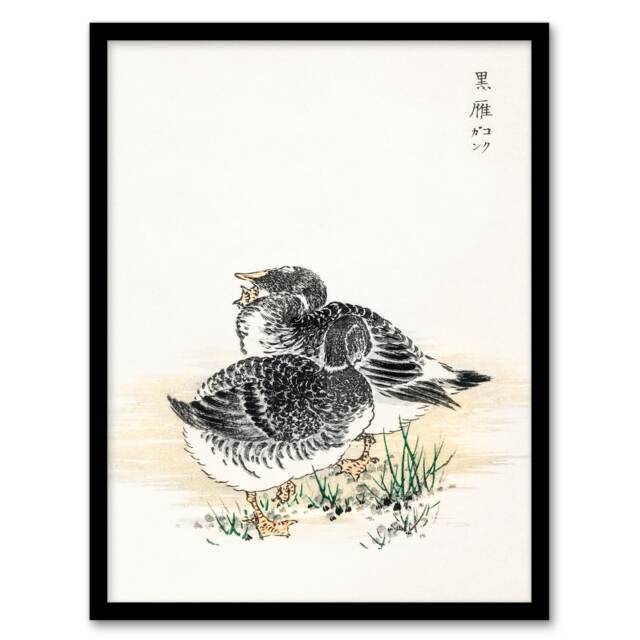Kashu Framed Wall Art Black Brant Geese Pictorial Monograph Of Birds Home Décor