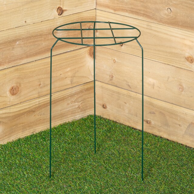 Tom Chambers Urban Dark Green Metal Herbaceous Garden Plant Support Grow Through Medium 50cm x 30cm