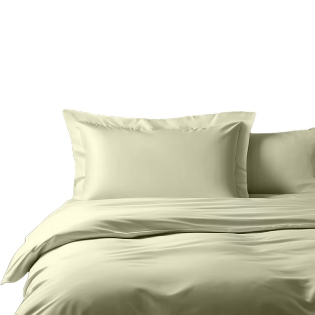 Luxury 400TC Sateen Cotton Oxford Pillowcase Pair Hotel Quality Cream
