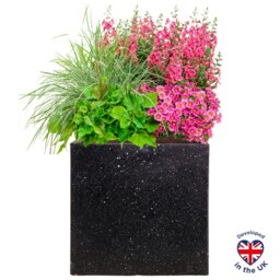 Square Box Black Terazzo Light Concrete Garden Planter H30 L30 W30 cm, 28 ltrs Cap.