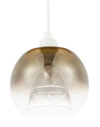 Modern Polished Gold and Clear Glass Circular Pendant Lighting Shade Gold Gold 1