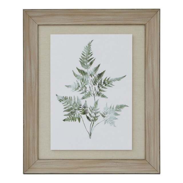 Watercolour Bracken Fern in Frame - Washed Wood - L5 x W50 x H60 cm - Brown Brown Not provided