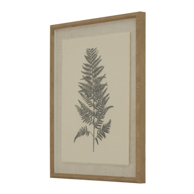 Hill Interiors Flora & Fauna Collection Beech Fern Linen Framed Wall Art White White/Black/Brown 50cm x 2cm x 40cm 1
