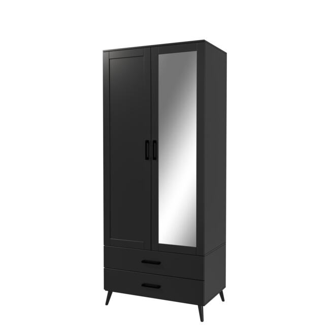 2-Door 2-Drawer Mirror Wardrobe with Legs Black Black & Black 55 x 9.5 x 149 1