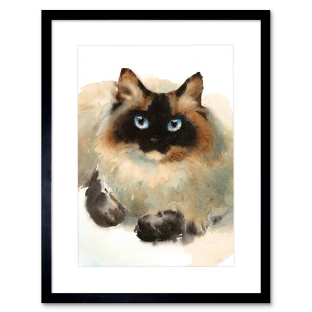 "Cuter Ragdoll Pet Watercolour Portrait Cat Lover Gift 9x7"" Black Framed Wall Art Print"