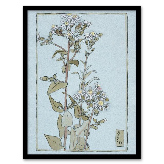 Hannah Borger Overbeck Framed Wall Art Print Aster on Green Ground Home Décor
