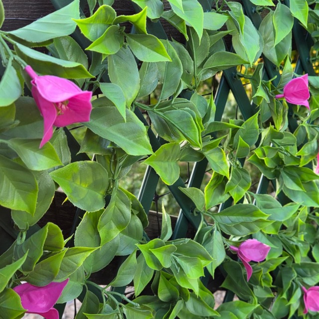 True Products Premium Expanding Trellis Fence - Artificial Pink Bougainvillea Garden Wall Screening