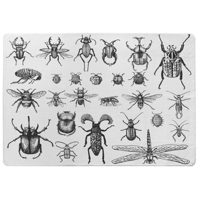 Fleas Many Species In Vintage Old Hand Drawn Style Designer Rug Multi