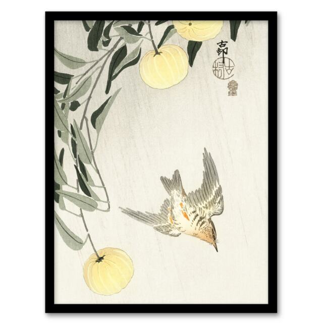 "Cuckoo In Early Summer Rain Vintage Japan Framed Wall Art Print Koson 12x16"""
