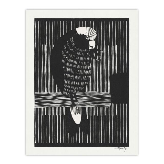 Stylised Galah Cockatoo Bird De Mesquita Huge Wall Art Print 18X24 In
