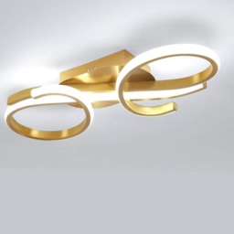 Modern LED Ceiling Light 36W Creative Gold Ceiling Lamp