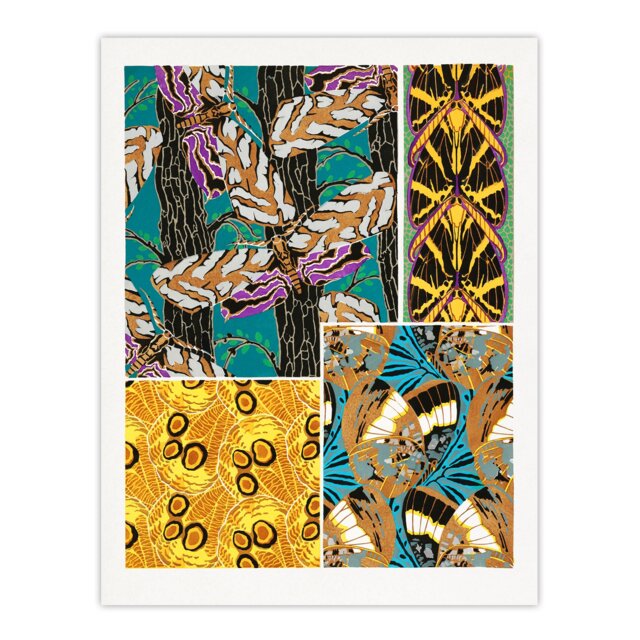 "Colourful Vintage Butterfly Pattern Vintage Wall Art Print Seguy 18x24"""