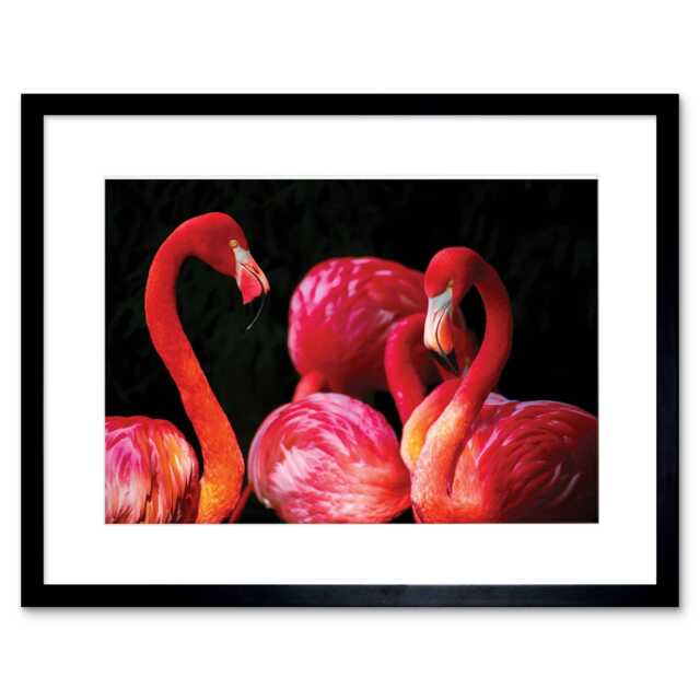 "Pink Flamingo Bird Flock Flamboyance Dark Photograph 9x7"" Black Framed Wall Art Print"