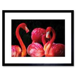 "Pink Flamingo Bird Flock Flamboyance Dark Photograph 9x7"" Black Framed Wall Art Print"