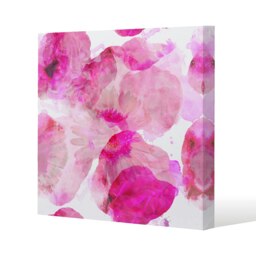 Andrew lee Bo Ho in Pink (Canvas Print)