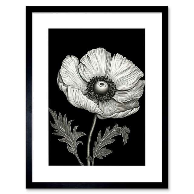 "White Black Single Detailed Anemone Flower 9x7"" Black Framed Wall Art Print"