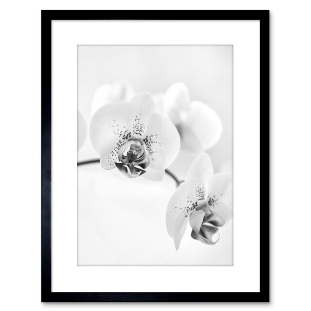 "Photo Nature Plant Orchid Flower Black White 9x7"" Black Framed Wall Art Print"