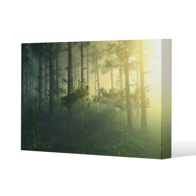 sun, trees in a haze of light, glowing fog among the trees (Canvas Print) Cream