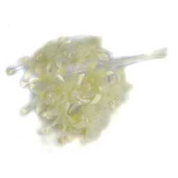 Pale Yellow Pearled Baby's Breath Fabric Flowers - Bunch of 12