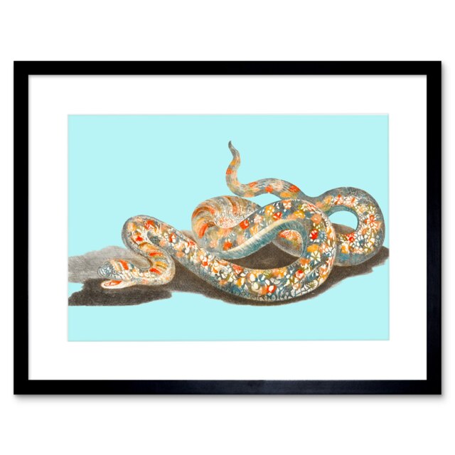 "Colourful Snake Johan Teyler Black 9x7"" Black Framed Wall Art Print"