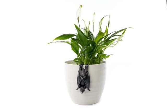 Bat Plant Pot Hanger - L11 x W5.5 x H4.5 cm Black