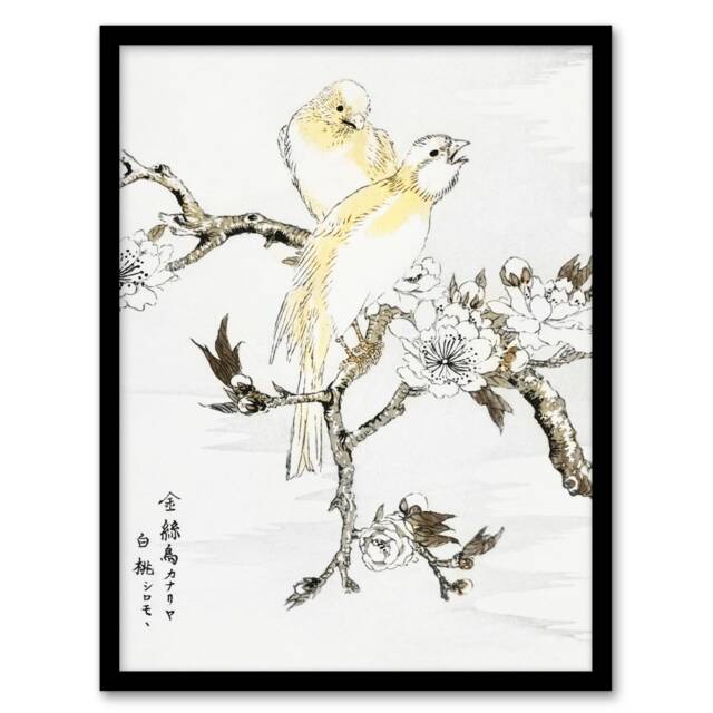 "Canary Peach Tree Flowers Vintage Japan Framed Wall Art Print Kashu 12x16"""