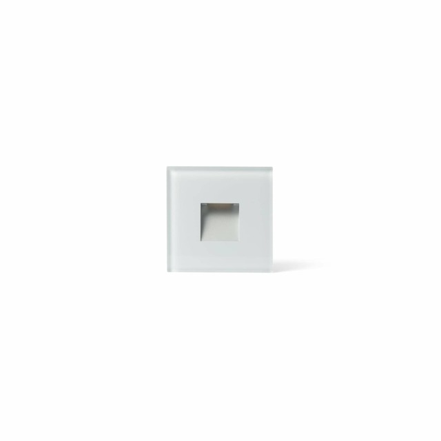 Dart Outdoor LED Recessed Wall Light White 2W 2700K IP65